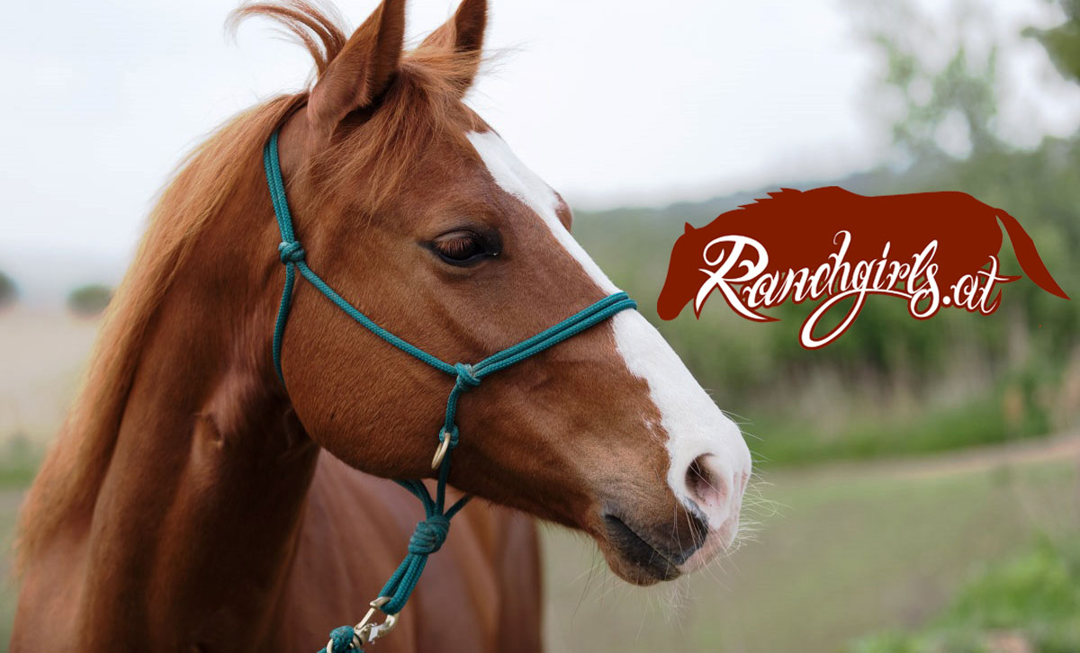 ranchgirls-blog